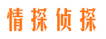 康县侦探公司